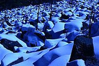 ҹ���µ�ѩ��