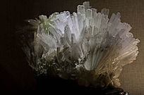 ��ɫ����״ˮ��