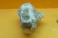 ����ͷ��ʯ