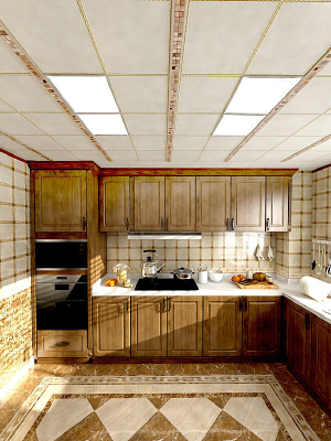 ������ʽ