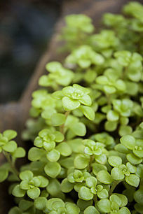 �д�Ķ�����ѿ