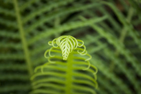 ާ��ֲ����ɫ