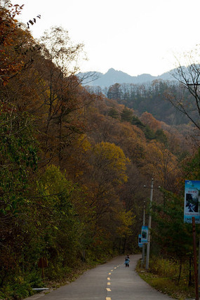 ��ɽ�еĵ�·