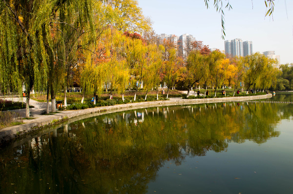 ��԰���ߵ�Ӱ