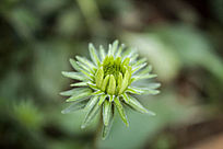 ��Ŀ�յ����̻���