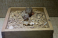 ����������