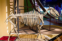 ������ʯ