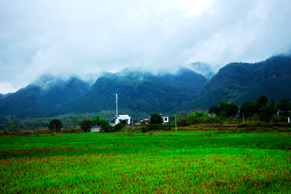 �����ĵ���