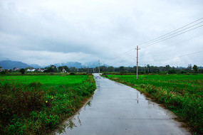 美丽的乡村道路