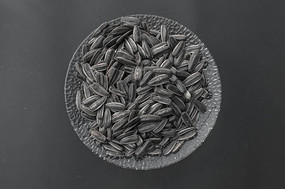 �����ϵĹ���