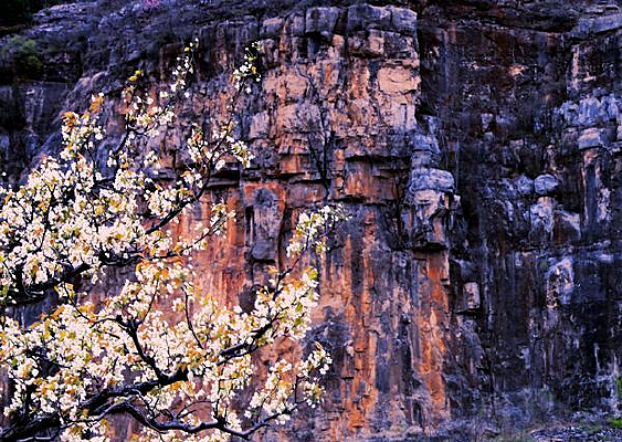 �ͱ��ϵ�ɽ��