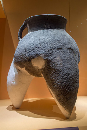 ت