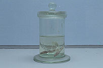 ʵ��ƿ�����