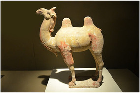 ����ʱ��������