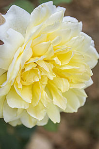 һ���ɫ���¼���