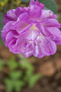 һ����ɫ���¼�