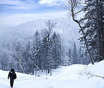 �ο�ͽ���ֺ�ѩԭ