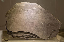 Զ�ŵ���ʯ��