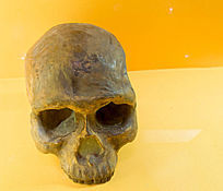 Զ�����໯ʯͷ��