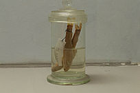 Զ��ʱ������