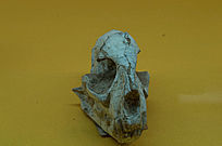 Զ������ͷ��