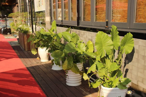 ֲ������