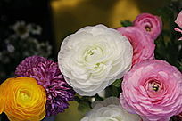 ���׵��¼�������