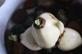 ��ѿ�е�ˮ��