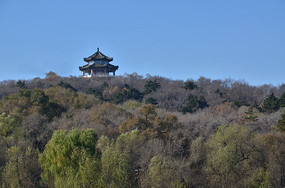 ��ɽ�ϵ�����ͤ