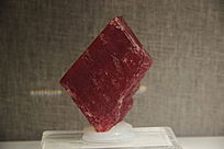 �����������̿�