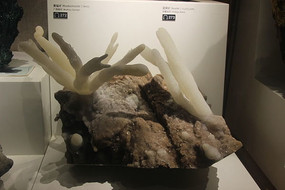 ������ʯ