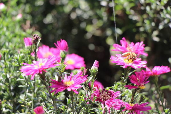 ���в��۵��۷�