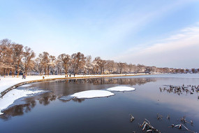 ���ϰ�ѩ��ľ��Ӱ