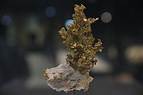 ������Ȼ��