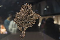 Ħ�����Ȼ��