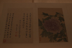 ������ƽĵ����ͼ��