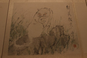 �����Ȱ�è����