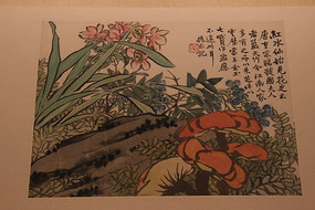 �����֮ǫˮ�ɻ�����