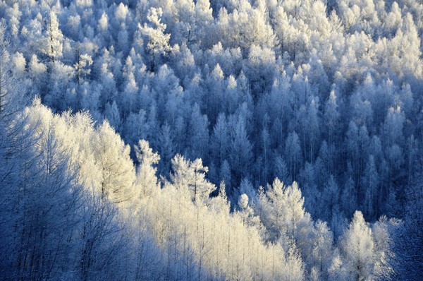 ��ɽ����