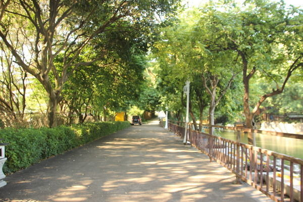 ��ľ�����