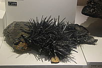 �Ĵ������