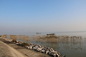 ̫������