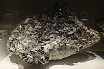 �½�����ĸ