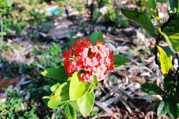 һ��Ư����С��