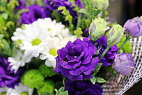 ��ɫ�¼�������