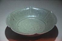 ������ɿ�����