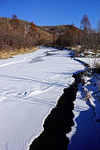 ����ѩ��