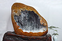 ������