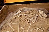 ������ʯ