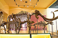 �ƺӽ�����